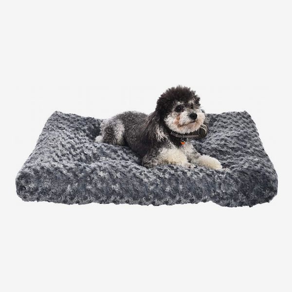 big fluffy dog bed