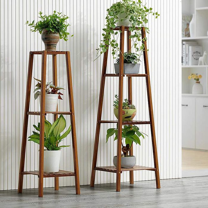 Featured image of post Bookcase House Plant Shelf