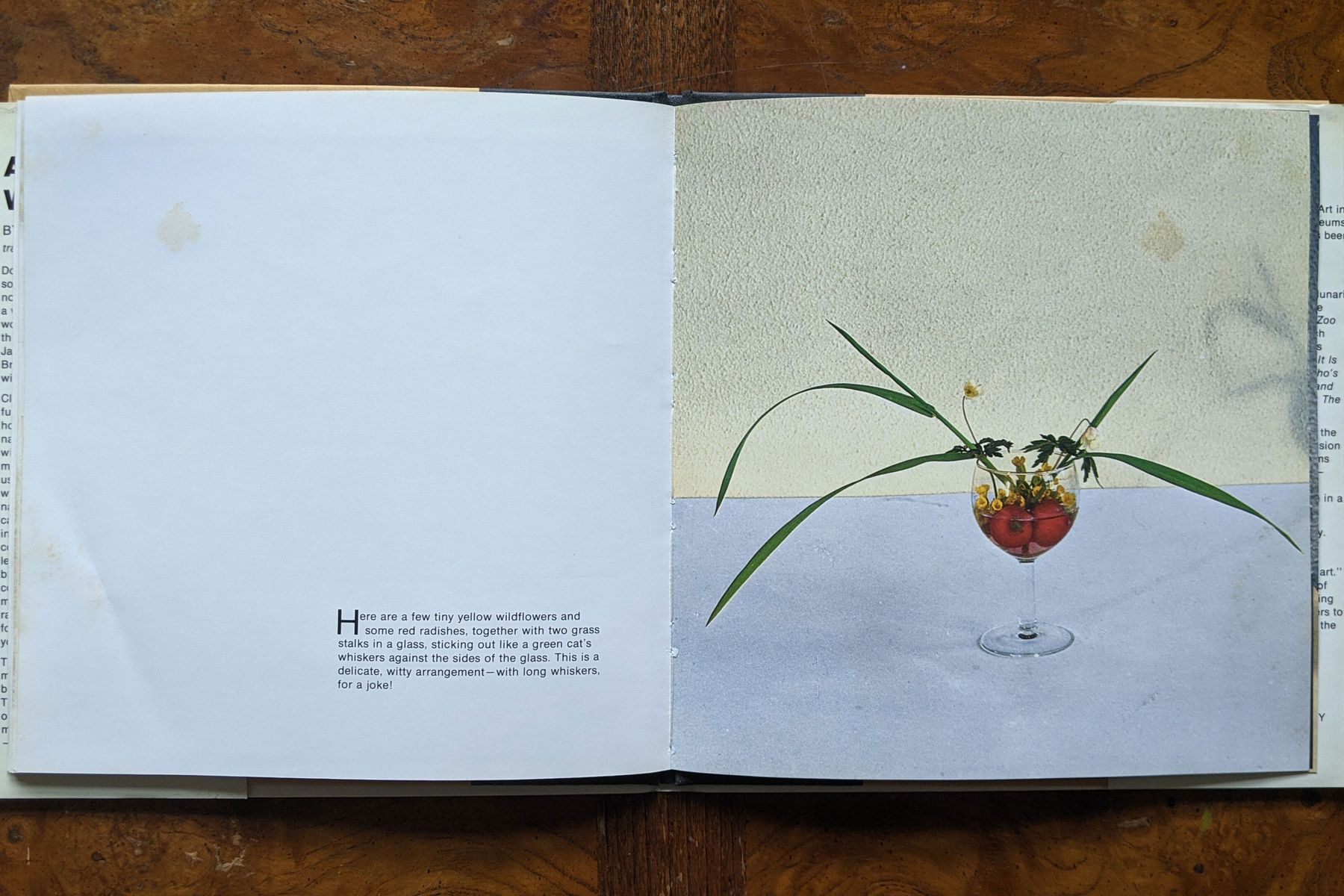 Fleurotica's Robin Rose Hilleary on Her Favorite Design Book