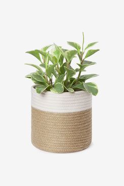 Seagrass Planter Basket Indoor Outdoor, Flower Pots Cover, Plant Pots Containers, Natural, 10 inch La Jolie Muse