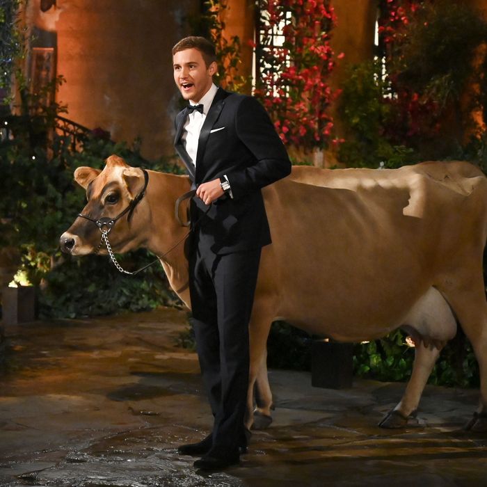 ‘The Bachelor’ Season 24 Premiere Recap Episode 1