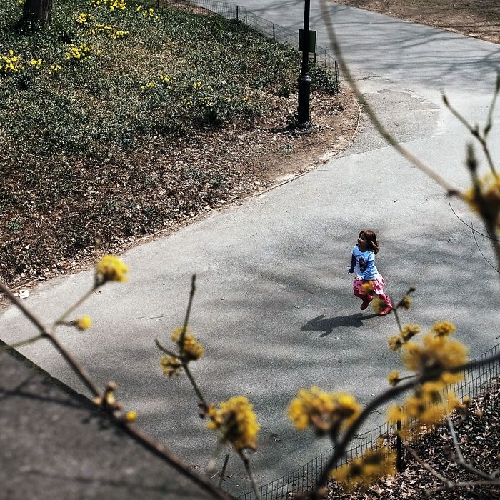 NEW YORK, NY - APRIL 16: A child runs in Manhattan's Central Park on a warm and sunny spring afternoon on April 16, 2015 in New York City. Following one of the coldest and snowiest winters in recent memory, warm temperatures have finally arrived. (Photo by Spencer Platt/Getty Images)