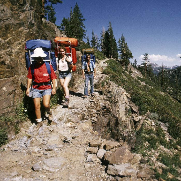 What Kind Of Shirt To Wear Hiking: Expert Guide