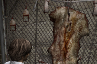 Silent Hill (franchise), Silent Hill Wiki