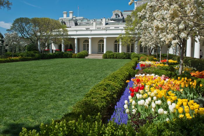 President Barack Obama hosts the 2014 Easter Egg Roll at the White House.