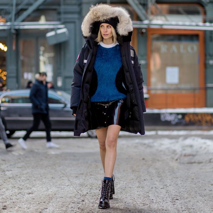 canada goose with fur