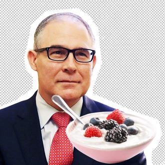 Scott Pruitt, a delicate bowl of yogurt.