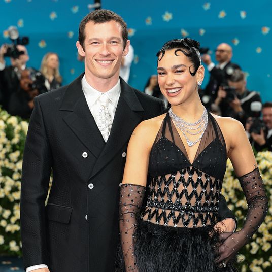 When Did People Become So Afraid of Mold?