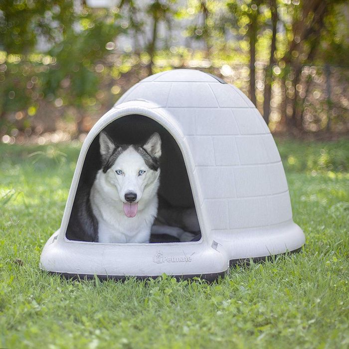 outdoor plastic dog kennel