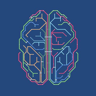 Brain, network diagram