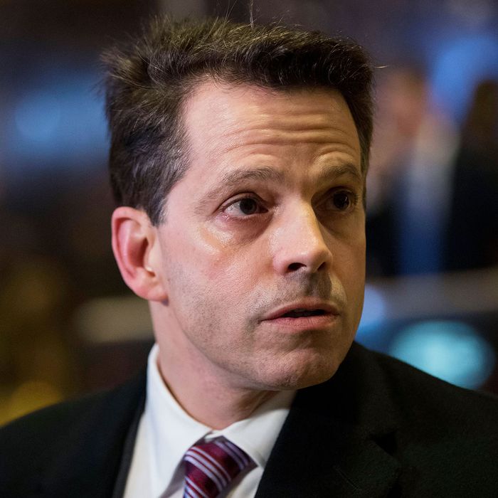 Anthony Scaramucci Is Trump’s New Director of Communications