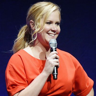 Amy Schumer's Cultural Significance Is Manifest in the Trainwreck Comedy  Tour