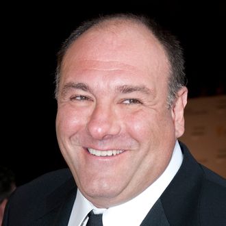 LOS ANGELES, CA - JULY 09: James Gandolfini arrives at the 2011 BAFTA Brits To Watch Event at the Belasco Theatre on July 9, 2011 in Los Angeles, California. The newlywed Duke and Duchess of Cambridge were in attendance on the ninth day of their first joint overseas tour visiting Canada and the United States. (Photo by Mark Large - Pool/Getty Images)