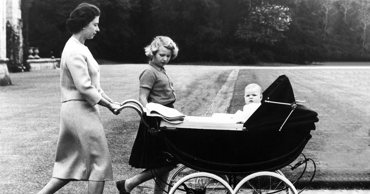 19 Best Strollers 2019 | The Strategist