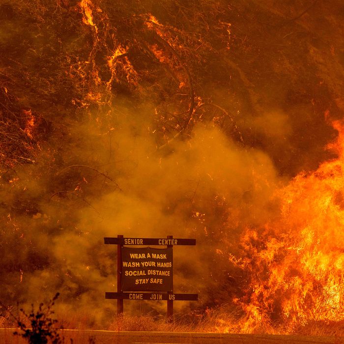 As of Wednesday morning, at least 33 fires are burning across Northern California, scorching more than 141,000 acres.