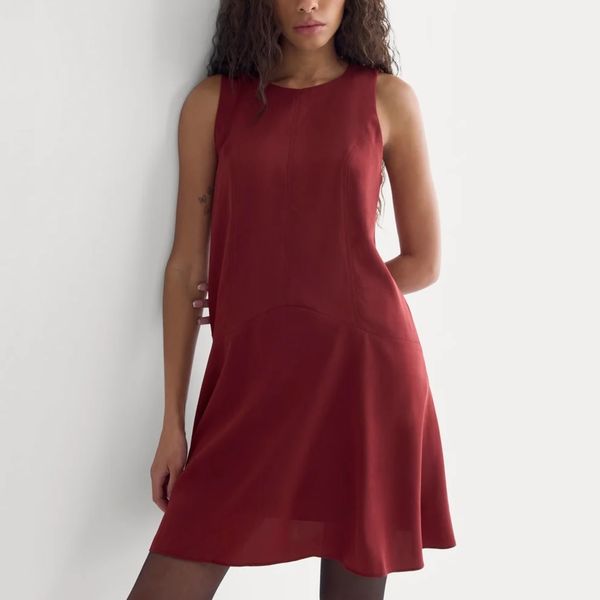 Everlane Drop-Waist Minidress