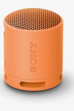 Sony SRS-XB100 Wireless Bluetooth Portable Lightweight Speaker