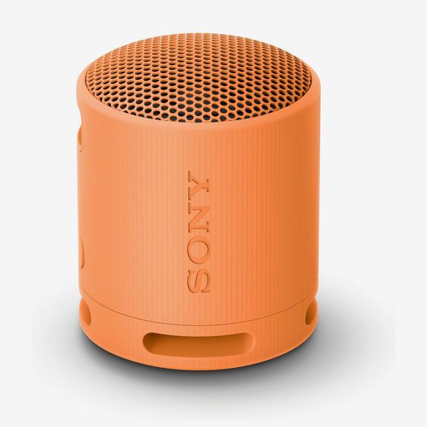 Sony SRS-XB100 Wireless Bluetooth Portable Lightweight Speaker