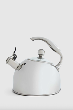 Quince Stainless Steel Tea Kettle