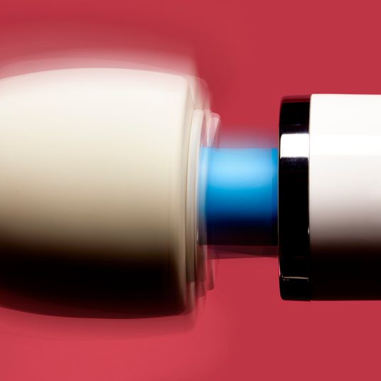 8 Best Rabbit Vibrators | The Strategist