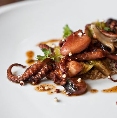 Hen of the Woods mushrooms, harissa, buttered quinoa, veal glacée