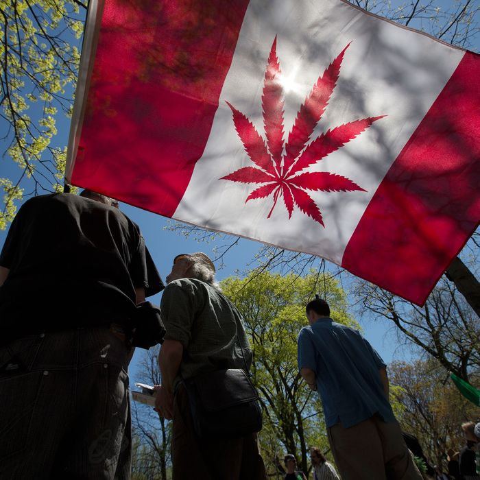 Canada Legalizes Recreational Marijuana Use