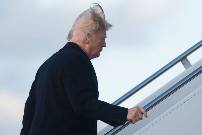 https://pyxis.nymag.com/v1/imgs/a74/17c/79dd640f228c92a0584326dcc0b72fc783-trump-funny-hair.rhorizontal.w700.jpg