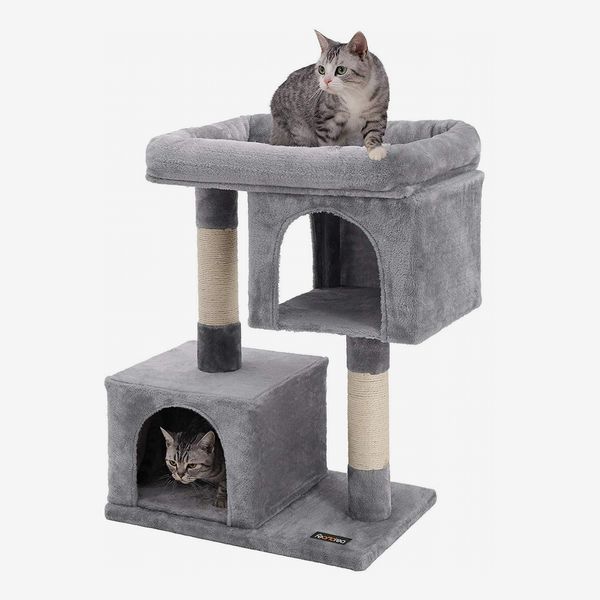 10 Best Cat Trees 2021 The Strategist, Outdoor Cat Tower For Large Cats