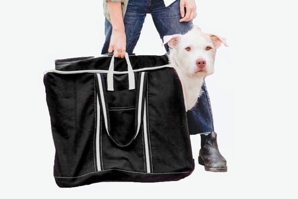 Dog & Co. City Carrier Bag in Size 4