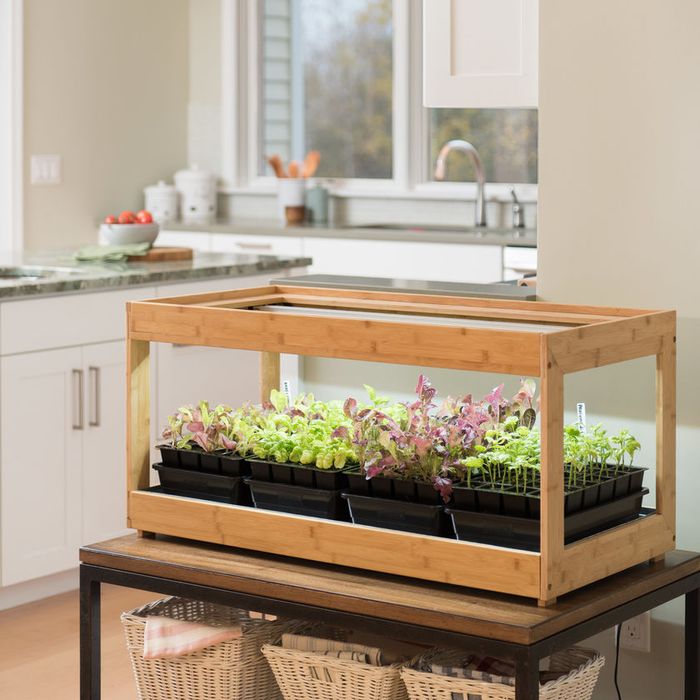 How To Grow An Indoor Herb Garden 2019, Herb Garden Table Planter