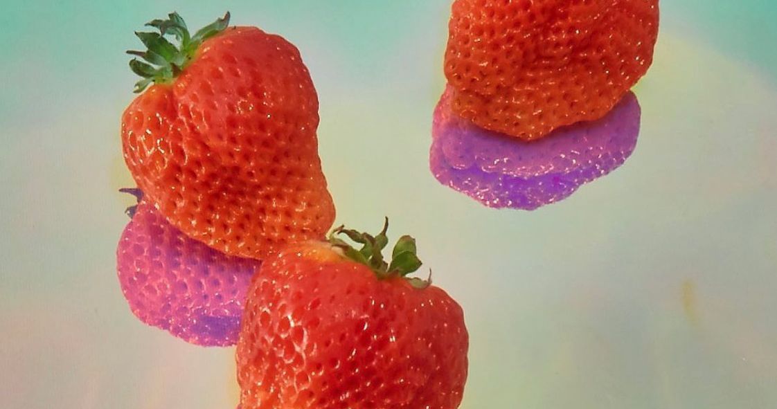 How Oishii's vertical farms grow strawberries that sell for $20 a box