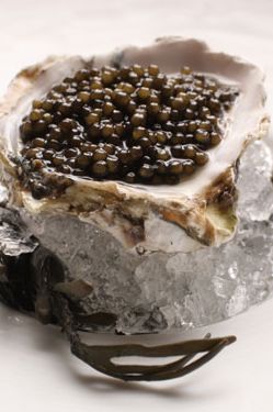 Kumamoto oyster topped with golden osetra.