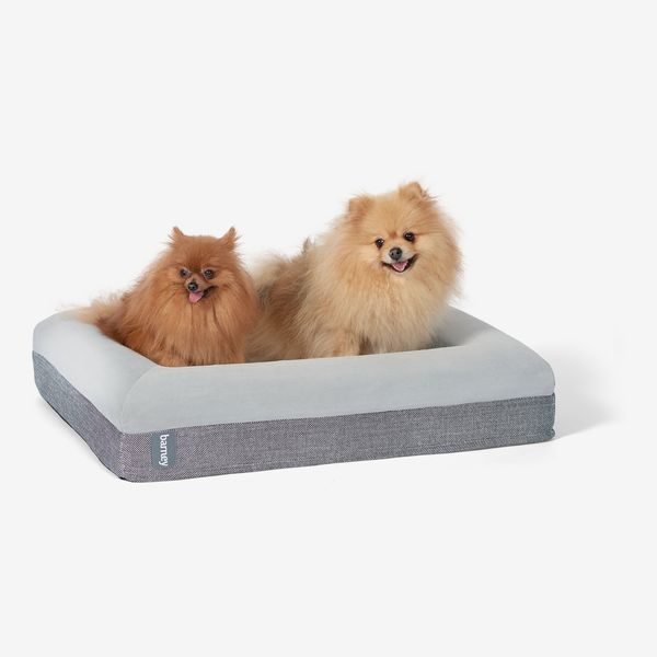 Dog Mat Summer Mat House Cat House Small Dog Four Seasons All-Purpose Dog House Spring/Summer Pet Supplies Teddy Corgi Dog Bed Cooling Pad Bite Resist