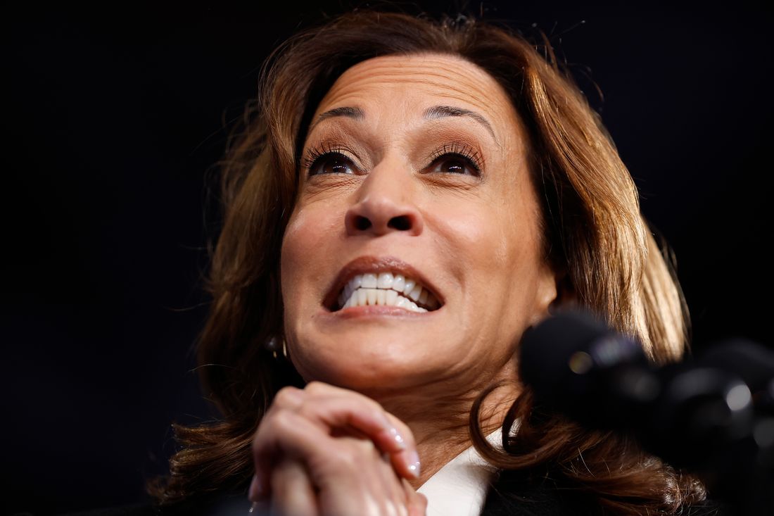 Trump Warns Harris Has ‘Dangerous’ Condition: Seasonal Allergies