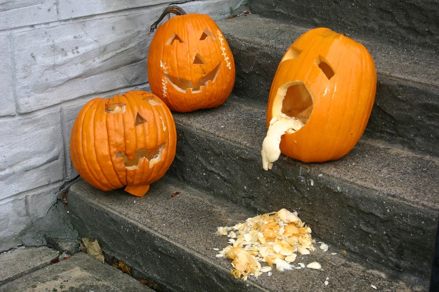 10 Reasons These Pumpkins Are Puking
