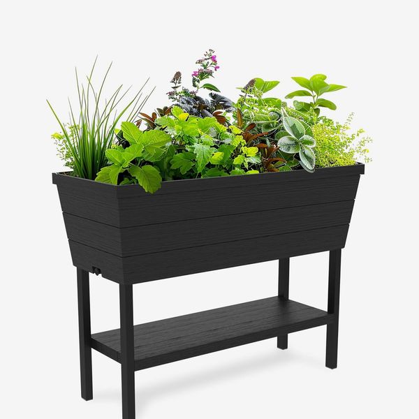 Keter Urban Bloomer Plastic Raised Garden