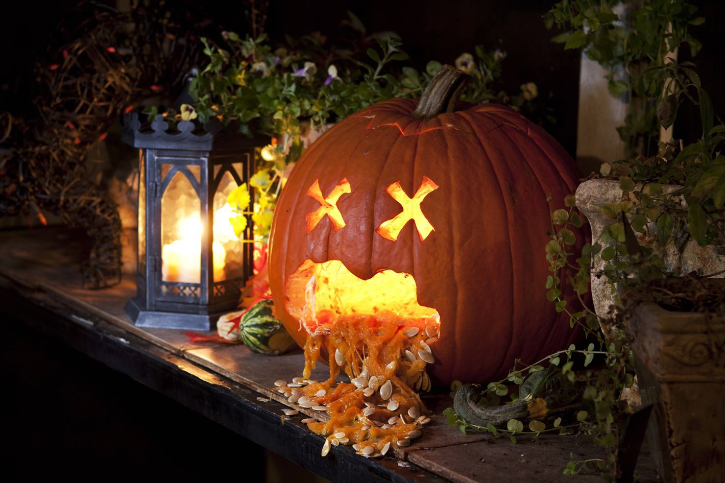 carved pumpkins throwing up