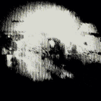 Feed Image