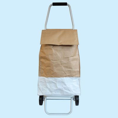 Trolly bag for online market