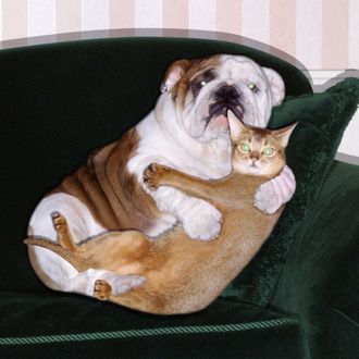 Dog and cat embracing on sofa