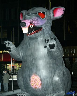 Scabbie the union rat.