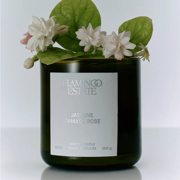 Flamingo Estate Jasmine Damask Rose Candle