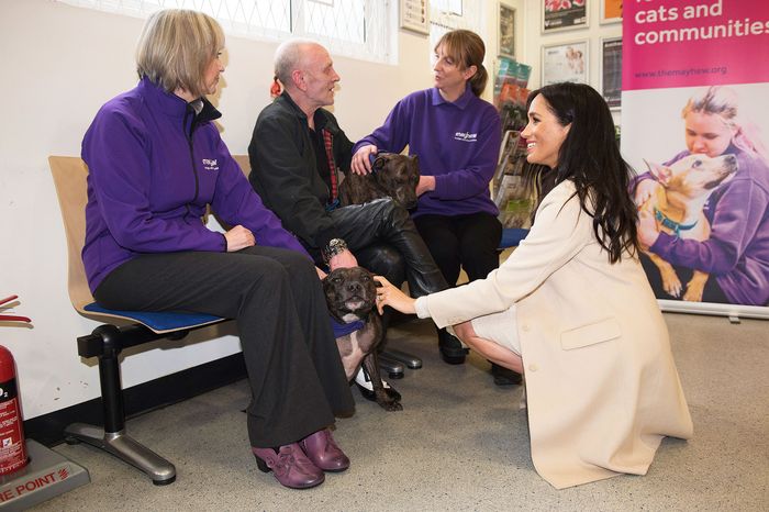 Meghan Markle Pets Dogs at Mayhew Royal Charity Outing