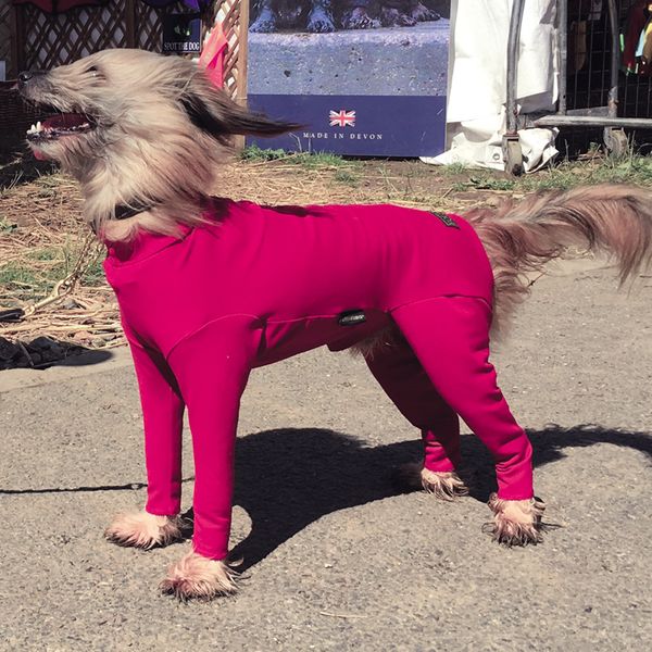 Equafleece Dog Summer Suit