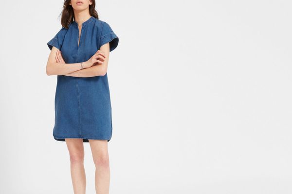 Everlane Splitneck Jean Dress