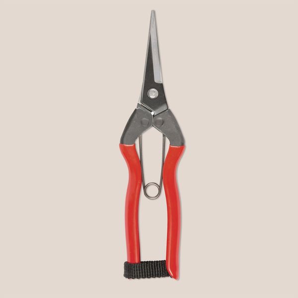 Niwaki Garden Snips