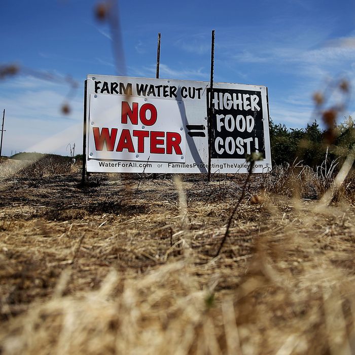 A sign referencing the drought is posted on the side of the road on April 24, 2015 in Firebaugh, California. As California enters its fourth year of severe drought, farmers in the Central Valley are struggling to keep crops watered as wells run dry and government water allocations have been reduced or terminated. Many have opted to leave acres of their fields fallow. (Photo by Justin Sullivan/Getty Images)