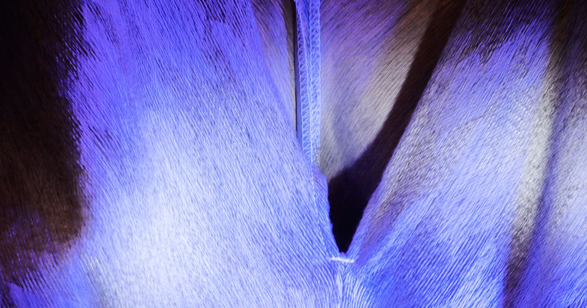 See Clothes That Transform With a Camera’s Flash