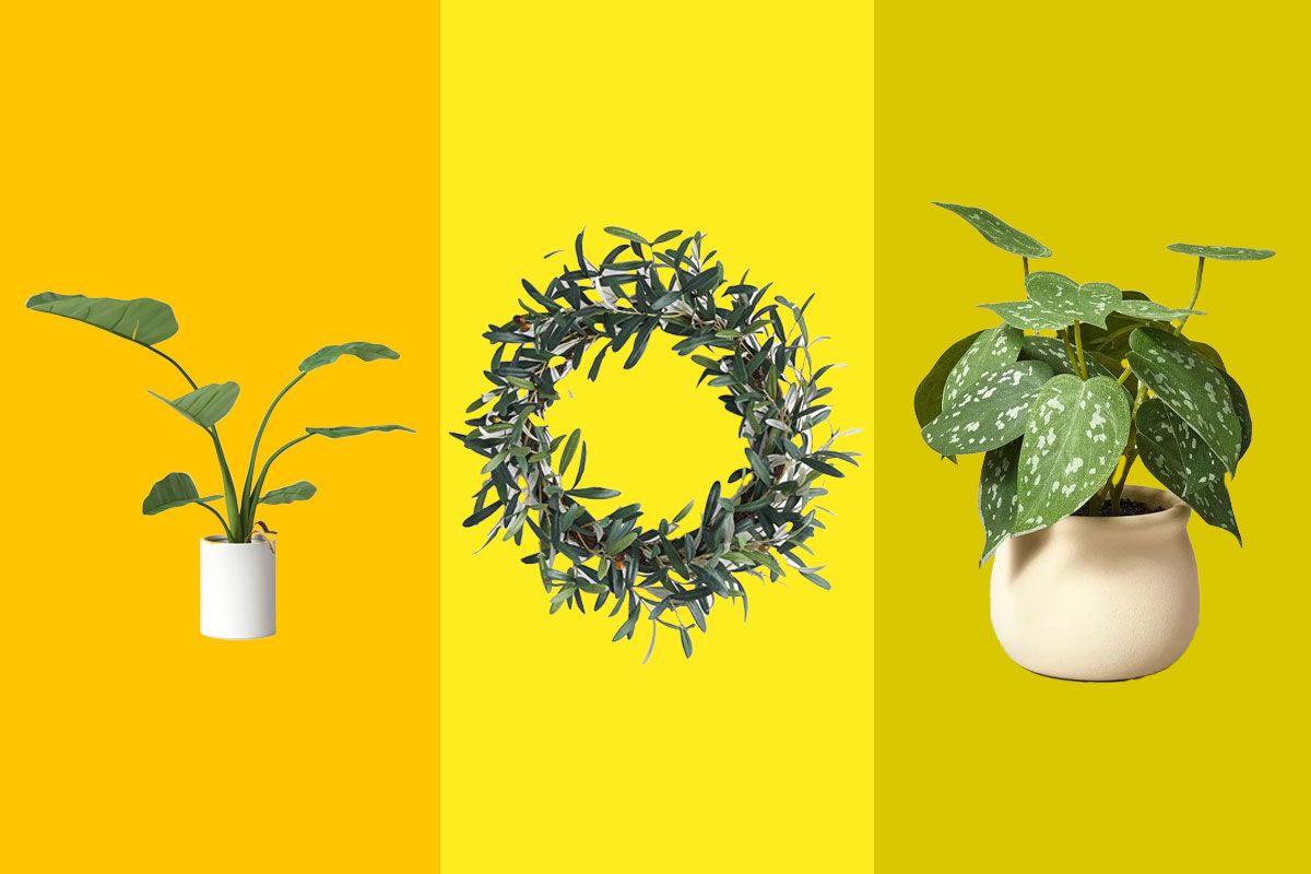 Artificial Plants (That Don’t Look Fake) New York Magazine