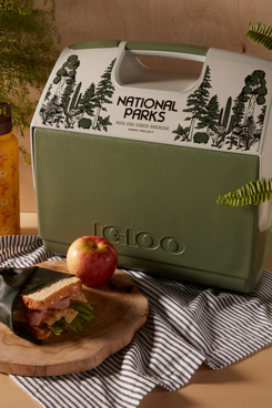 Igloo x Parks Project Ecocool Playmate Elite Cooler